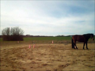 Volt et Bécassine en TAP, 7.03.15