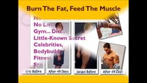 Burn The Fat Feed The Muscle PDF + Burn The Fat Feed The Muscle