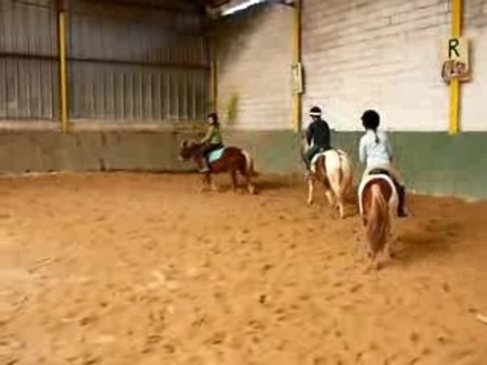 poney