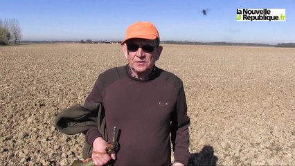 VIDEO. Pontlevoy (41) Un chasseur sachant compter doit compter les perdrix.