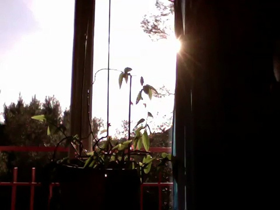 la parole éprouvée