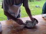 4-Fabrication du pain avec les Jolis pas