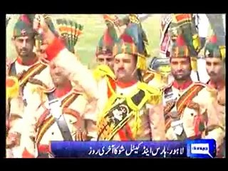 Horse and cattle show in lahore.
