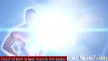 Get six packs fast by Bulk Then Cut - The Muscle Maximizer - How Gain Muscle