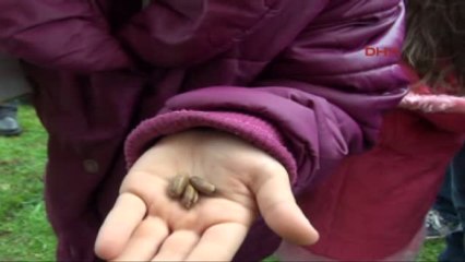 Bodrum'da Sulak Alanda Jeotermal Kaynak Arama Tepkisi-1