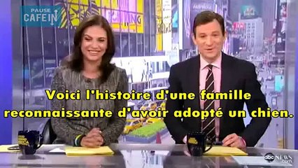 Ce chien sauve la vie d'un nouveau-né de 9 semaines