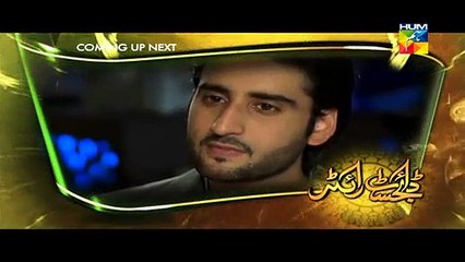 Digest Writer Episode 23 Full HUM TV Drama Mar 07, 2015 -