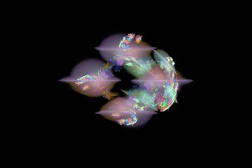 Meditation Frequency for Healthy Mouth and Kidneys