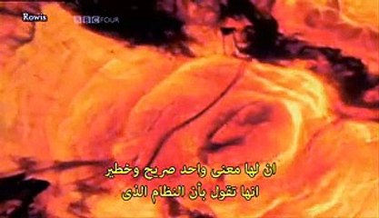 وثائقي BBC - سر الحياة الفوضوية - فيديو
