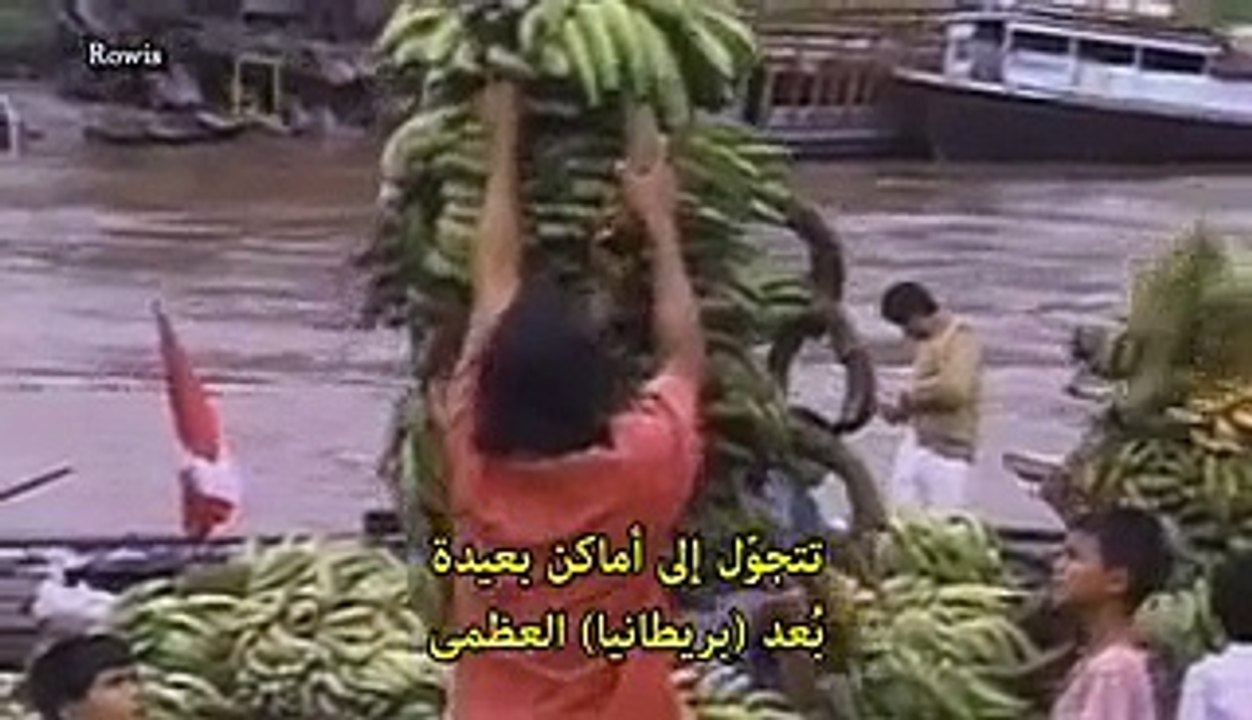 وثائقي Nat Geo - أكثر حيوانات العالم خطراً - ال...