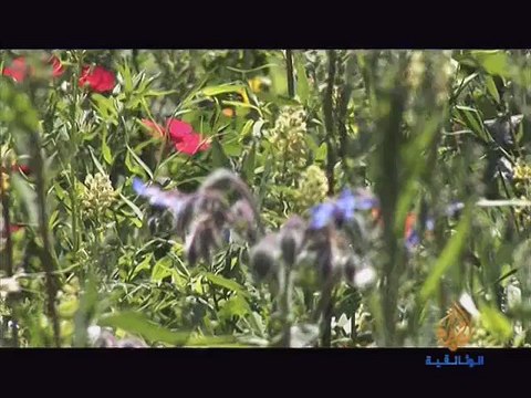 الجزيرة الوثائقية - أبحاث علمية - الفيروس - فيديو