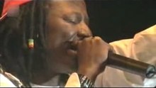 Alpha Blondy en Live