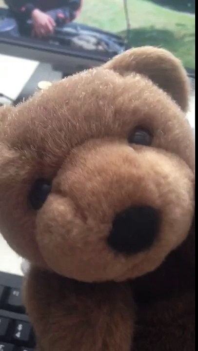 Bali 9 Duo Executions!