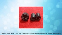3 PC KIT HARLEY MOTORCYCLE SEAT BOLT & VALVE CAPS WILLY LOGO Review