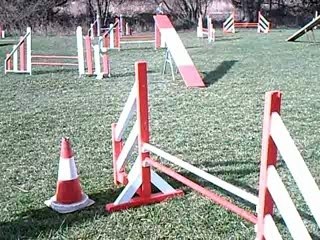 Vita gpf mauguio 11.03.07