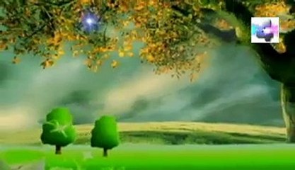 soñar que tienes un paracaidas significado de los sueños español latin