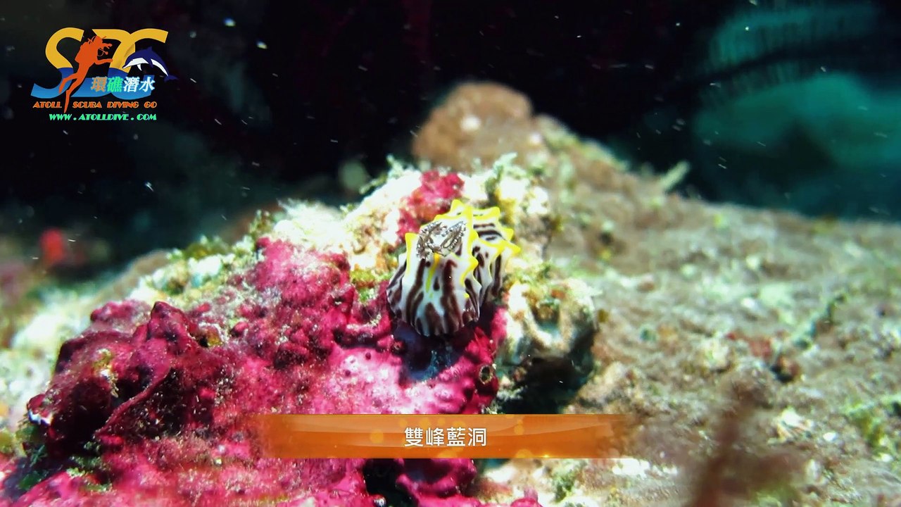 201503 墾丁船潛 FUN DIVE