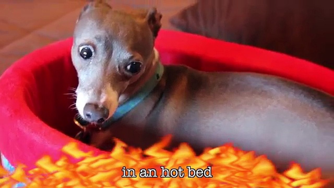 How To Care For Your Cermet