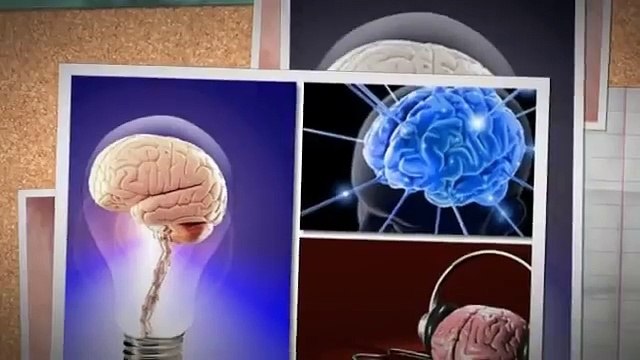 Improve Your Brain Memory With Herbal Supplements