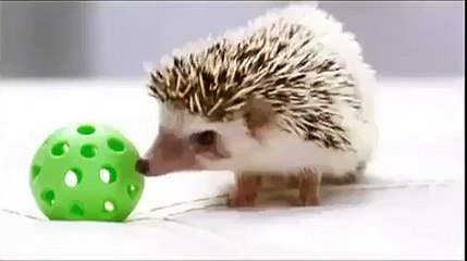 sửa điều hoà tại thái hà 0986687668 - Video Dailymotion