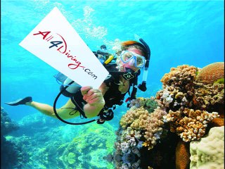 Liveaboard Similan Islands, www.scubadiving-phuket.com