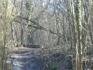 Aîe la chute a cheptain sur la triple