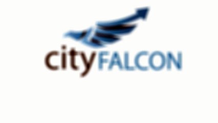 CityFALCON Corporate Solutions