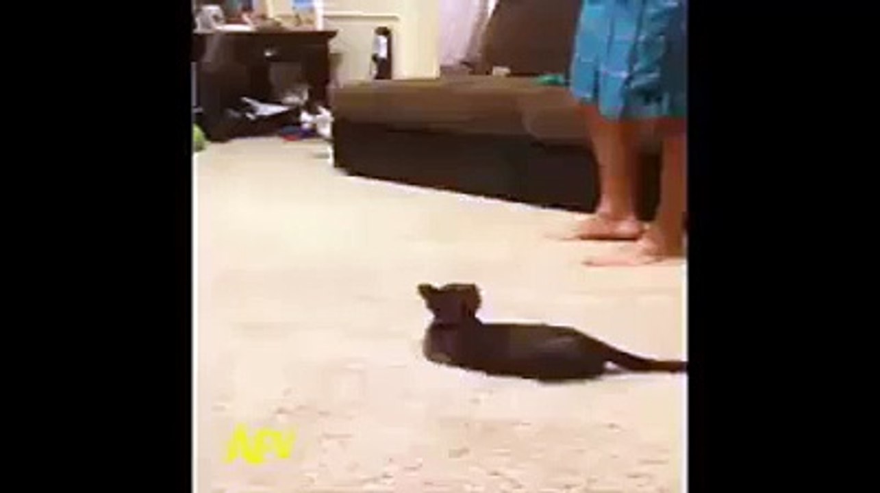 How we react when we see a spider!