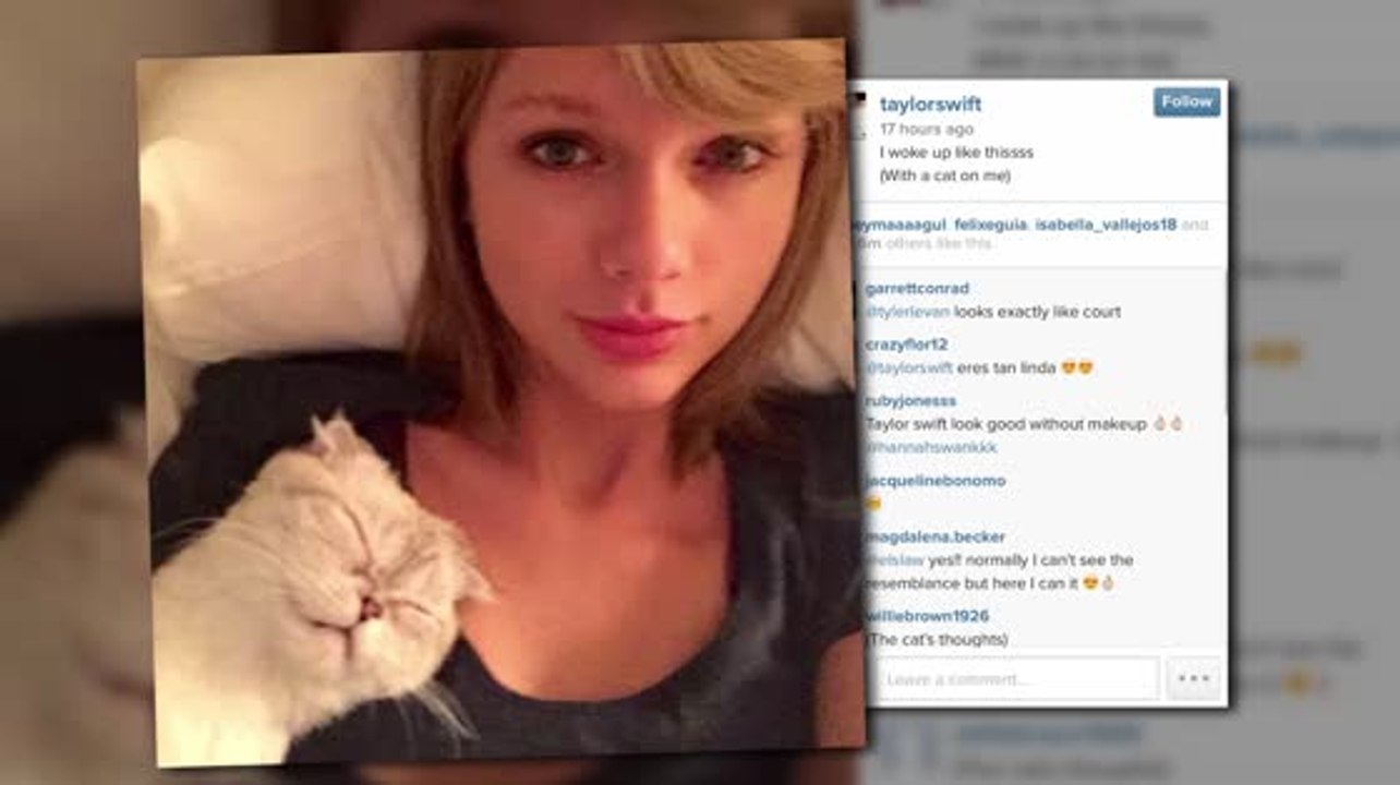 Taylor Swift wacht noch immer als Katzenfreundin auf