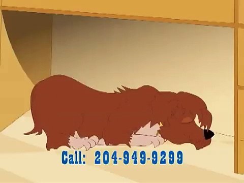 Winnipeg Electricians Mr Electric