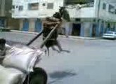 Best Funny Clips Ever:: MUST WATCH And U Cant STOP Laughing :)