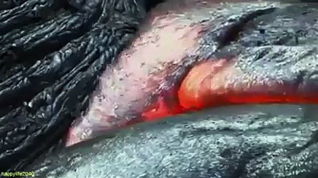 Muslims Must Watch This Video