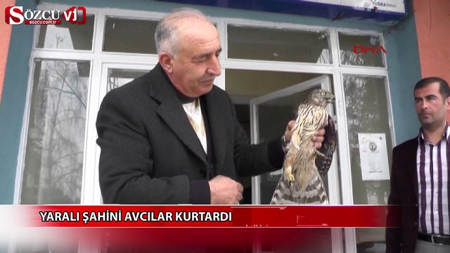 Yaralı şahini avcılar kurtardı
