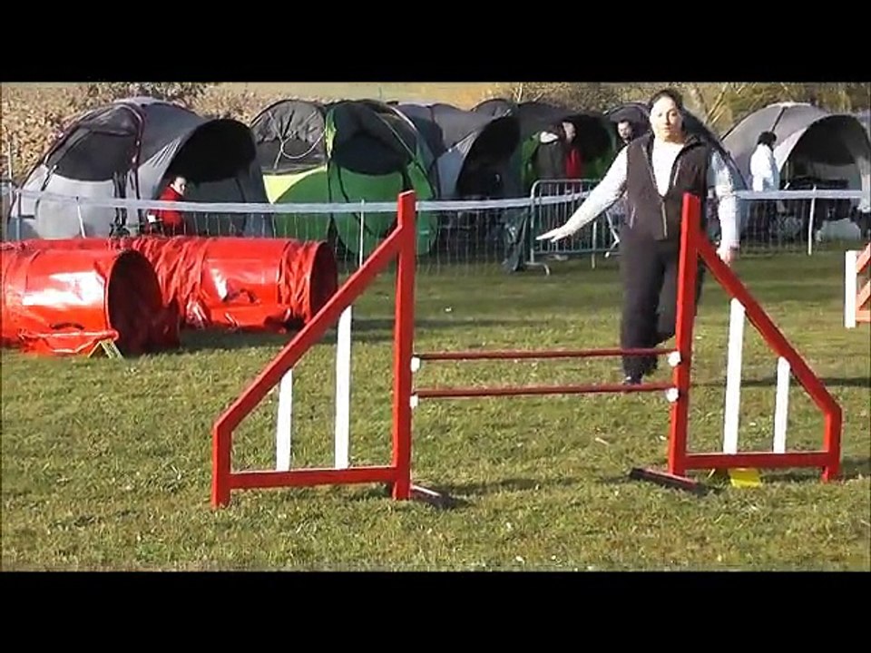 Dixie Concours d'agility de Wissembourg 08/03/2015