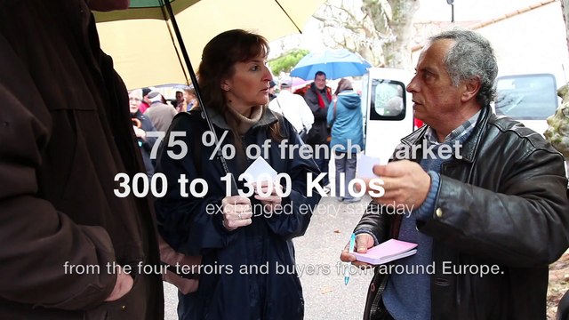 Truffles in Provence 1.1 - The Provence of truffles