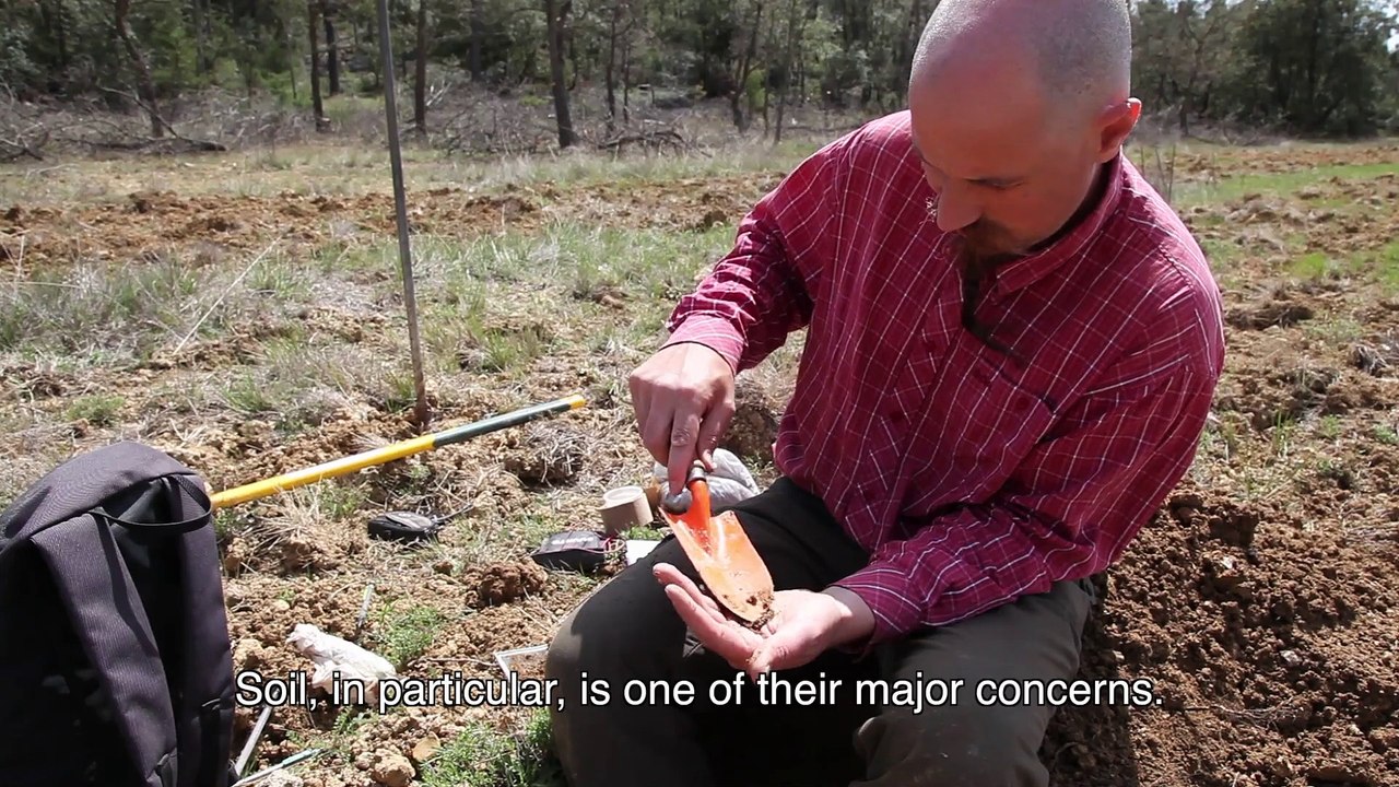 Truffles in Provence 1.6 - Agroforestry