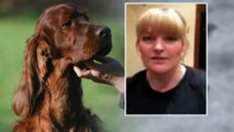 'Poisoned' Crufts dog's owners 'lost a family member'
