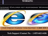 1-888-959-1458 Internet Explorer Is Not Responding_Working Toll Free Phone Number USA_Canada
