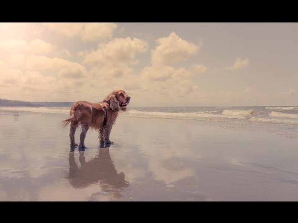 How to Retouch Daylight Photos and Make them Pop in Lightroom - PLP #143