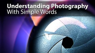 Understanding Photography With Simple Words - PLP #139