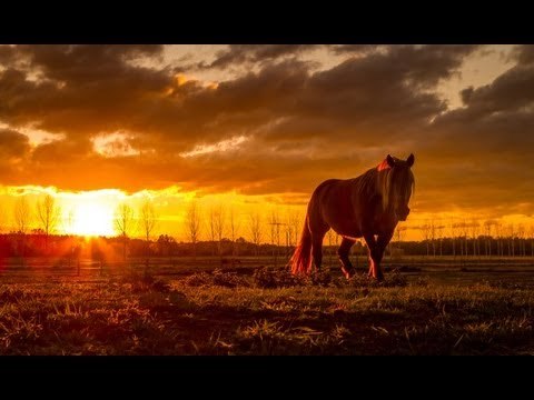 How to Shoot and Retouch a Photo Taken Straight into the Sun - PLP #36 by Serge Ramelli