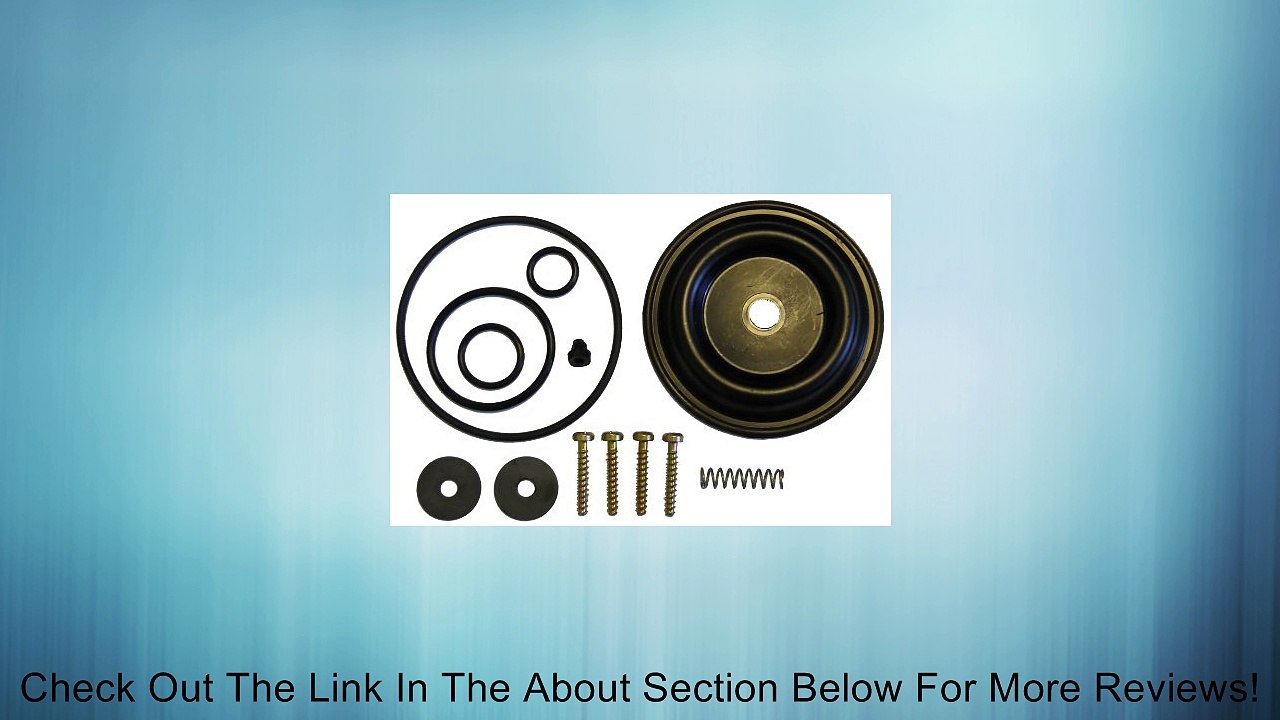 Solo 0610406-K Diaphragm Sprayer Pump Repair Kit Review