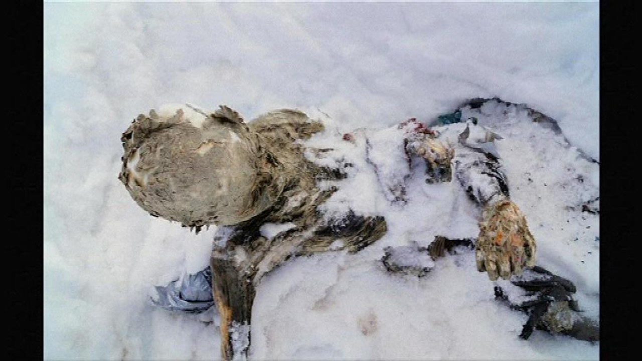 Deux corps momifiés et gelés  découverts au Mexique