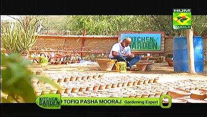 Kitchen Garden With Tofiq Pasha Mooraj On Masala TV 7 March 2015