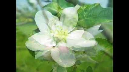 Primavera 2009 al parco fluviale