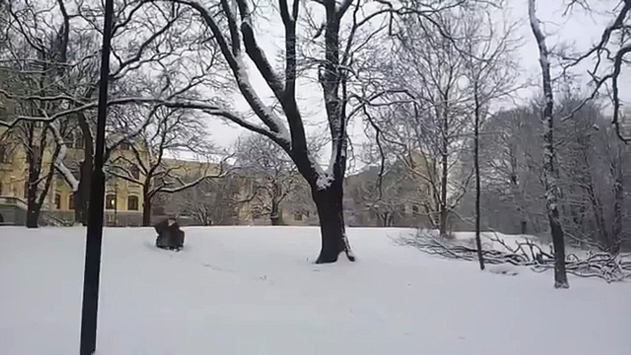 Just a Wizard Going Sledding