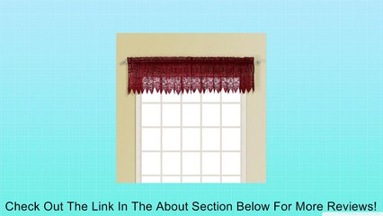 United Curtain Valerie Lace Sheer Straight Valance, 52 by 18-Inch, Burgundy Review