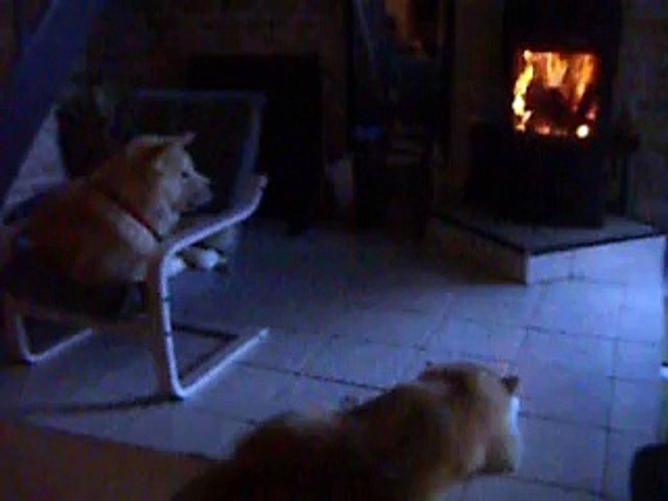 Kenzo - Ichiko (hiver 2015)