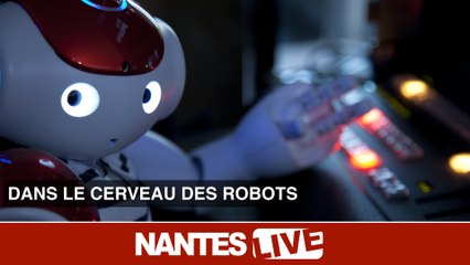 Intuitive Robots développe les cerveaux des robots de compagnie