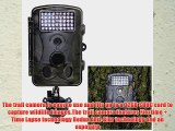 Gbargain 12MP 120? Wide Outdoor Angle Trophy Cam Waterproof 42 IR LED HD Hunting Trail Camera